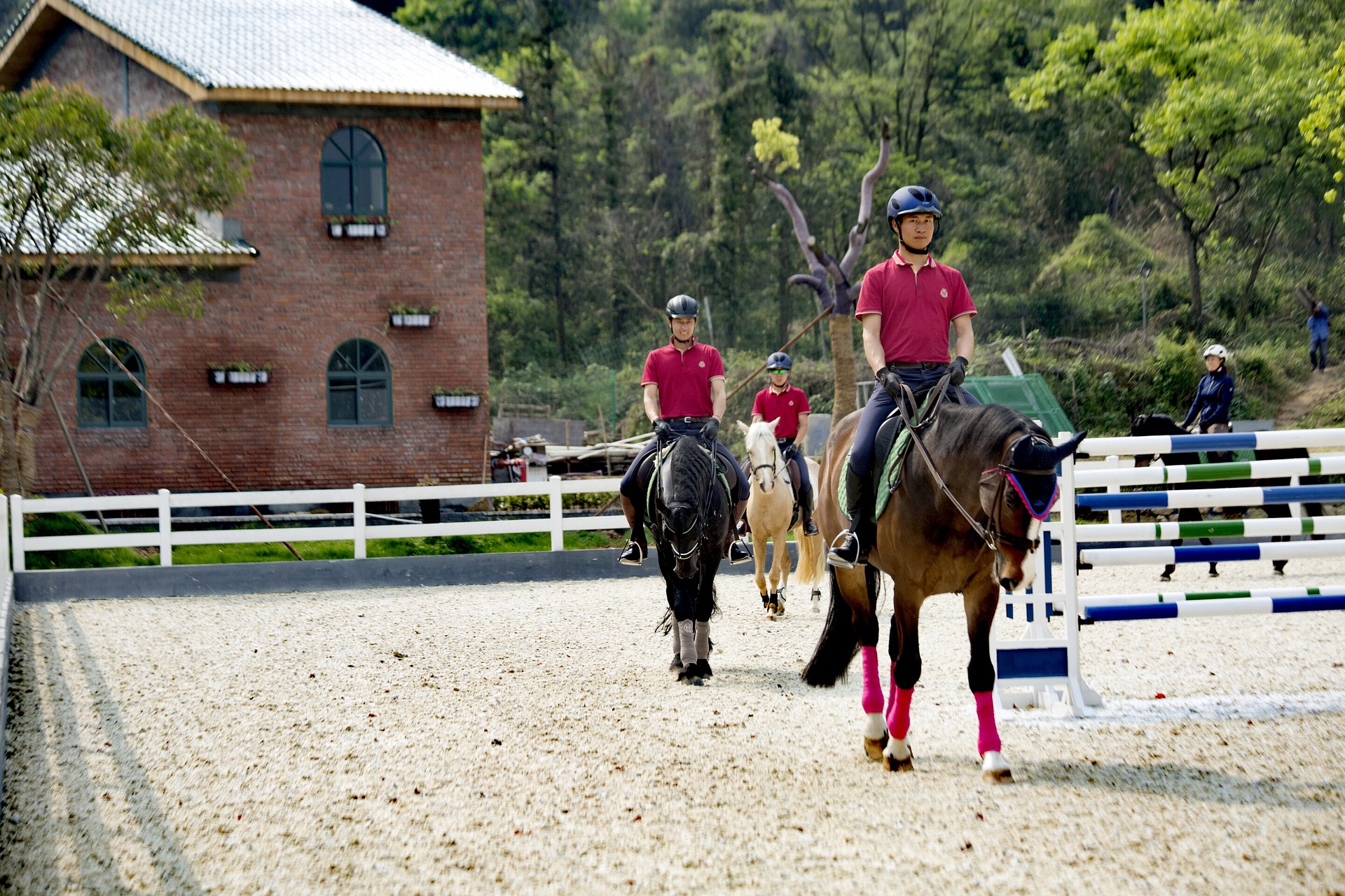 compass 146166-Working